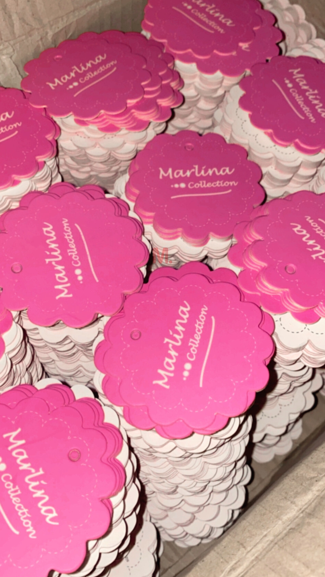 2023_10_21_14_09_IMG_7366